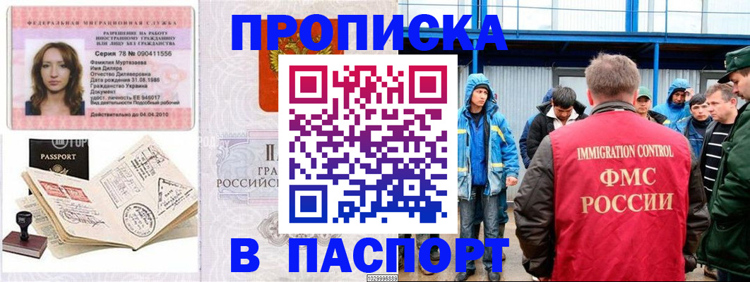 временная регистрация недорого в Камчатской области